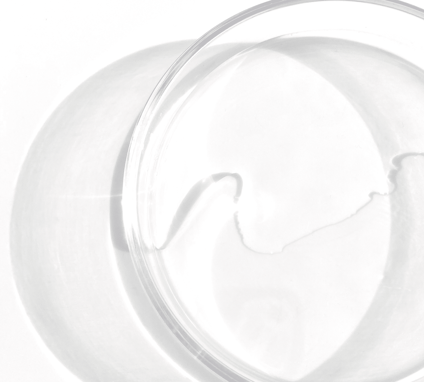 BYPHASSE - LOTION TONIQUE 500 ML TOUS TYPES DE PEAUX + 35 DISQUES OFFERTS